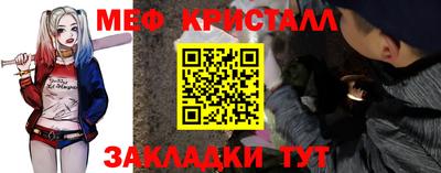 прущие грибы Усть-Джегута