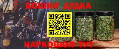 прущие грибы Усть-Джегута