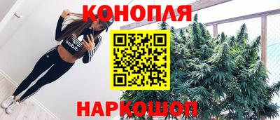 прущие грибы Усть-Джегута