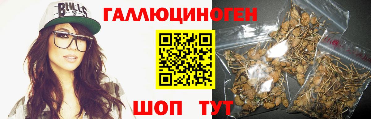Галлюциногенные грибы MAGIC MUSHROOMS Набережные Челны